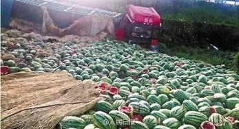 吃瓜网瓜闻天下,揭秘娱乐圈最新热点事件